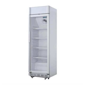 POLAR C-SERIE DISPLAYKOELING MET LICHTBAK 346L
